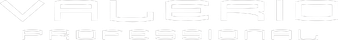 light logo